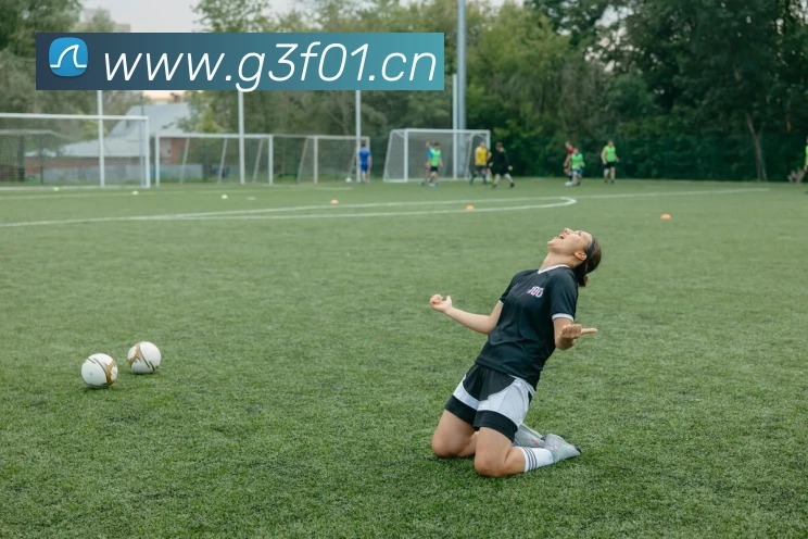 易倍emc官方发展历程